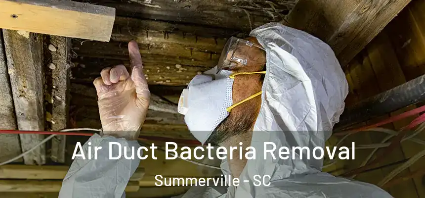  Air Duct Bacteria Removal Summerville - SC