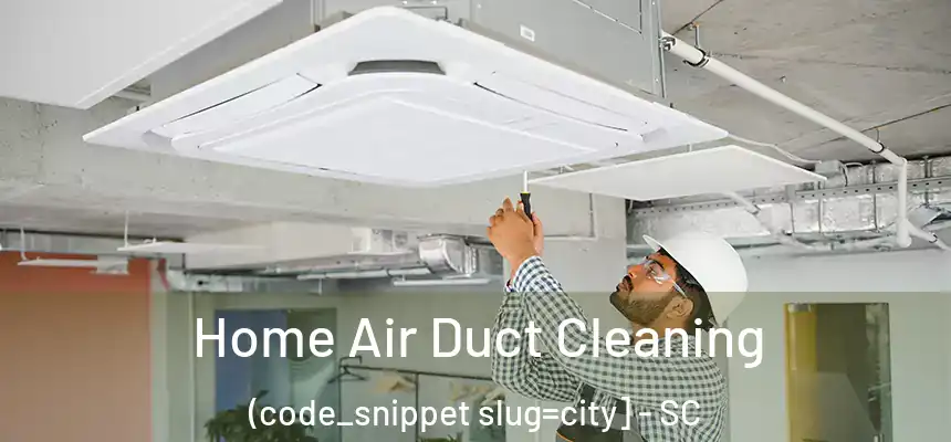  Home Air Duct Cleaning (code_snippet slug=city] - SC