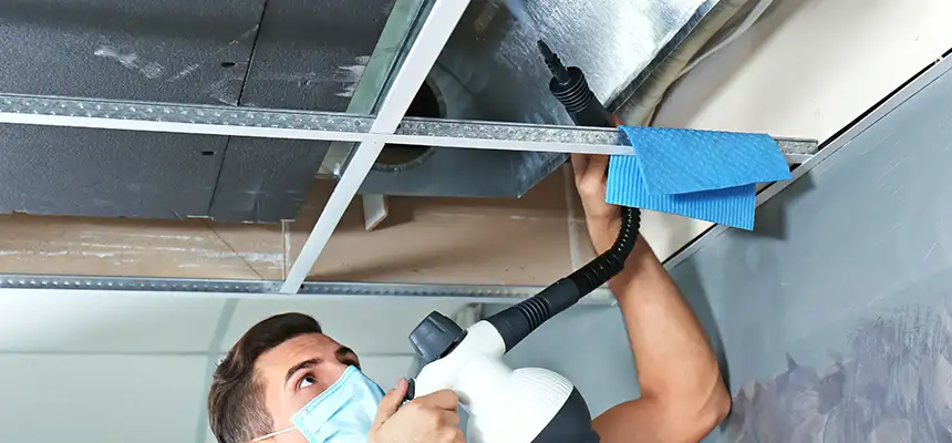 Our Air Duct Rodent Removal Services in Summerville, SC