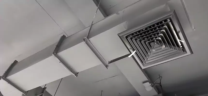 Our Pest Removal From Ducts Services in Summerville, SC