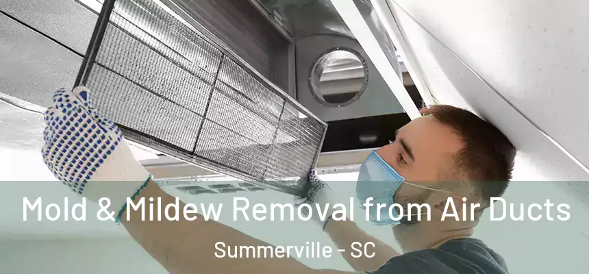  Mold & Mildew Removal from Air Ducts Summerville - SC