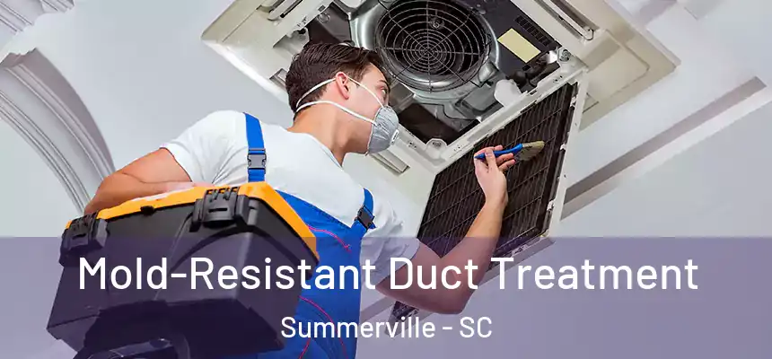  Mold-Resistant Duct Treatment Summerville - SC