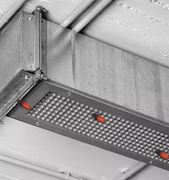 About Air Duct Cockroach Removal in Summerville, SC