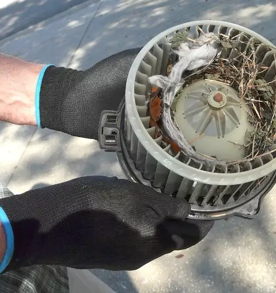 About Air Duct Rat Removal in Summerville, SC