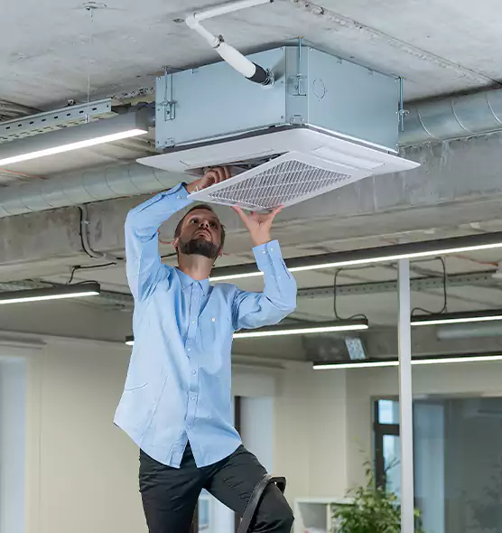 Advanced Rodent Droppings In Vents in Summerville, SC