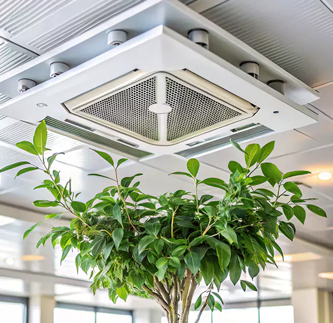 Why Homeowners & Businesses Trust Us in Summerville, SC?