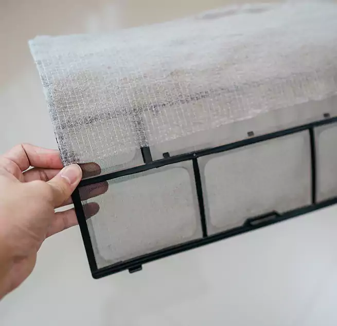 Why Homeowners & Businesses Trust Us in Summerville, SC?