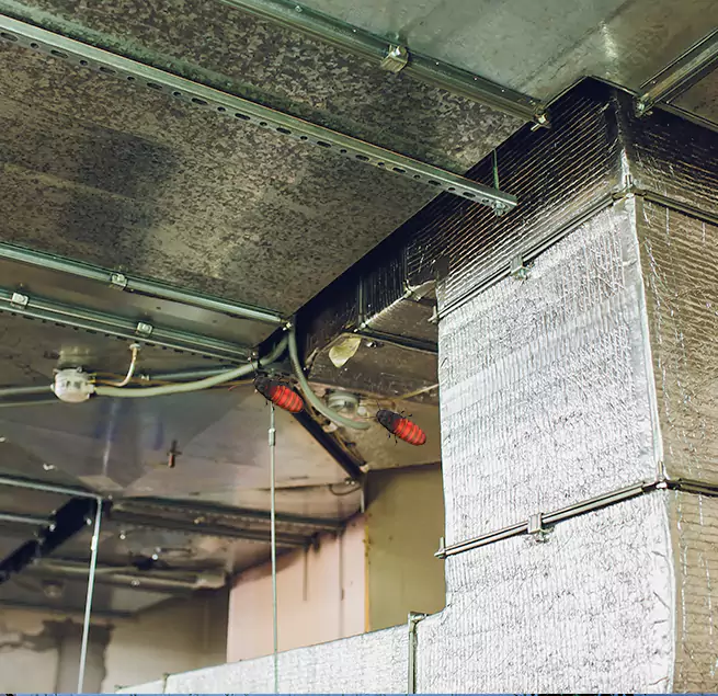 Why Homeowners & Businesses Trust Us Summerville, SC?