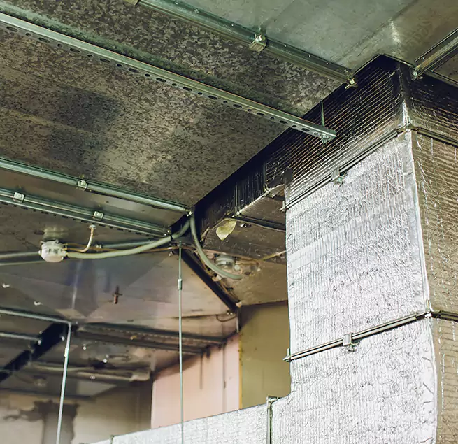 Why Homeowners & Businesses Trust Us in Summerville, SC?