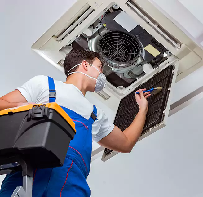 Why Homeowners & Businesses Trust Us in Summerville, SC?